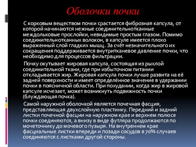 Оболочки почки С корковым веществом почки срастается фиброзная капсула, от которой начинаются