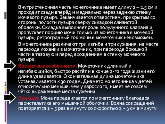 Внутристеночная часть мочеточника имеет длину 2 – 2,5 см и проходит сзади