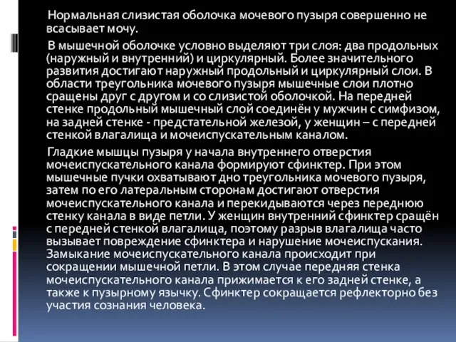 Нормальная слизистая оболочка мочевого пузыря совершенно не всасывает мочу. В мышечной оболочке