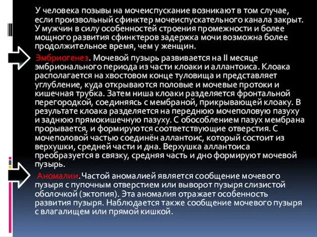 У человека позывы на мочеиспускание возникают в том случае, если произвольный сфинктер