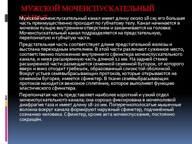 МУЖСКОЙ МОЧЕИСПУСКАТЕЛЬНЫЙ КАНАЛ Мужской мочеиспускательный канал имеет длину около 18 см; его