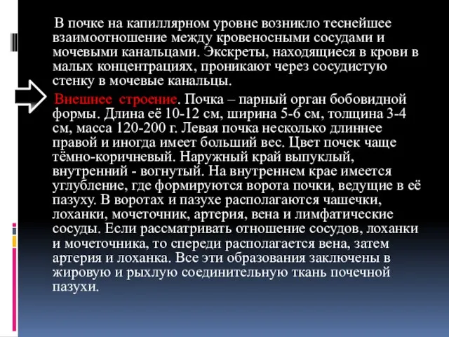 В почке на капиллярном уровне возникло теснейшее взаимоотношение между кровеносными сосудами и