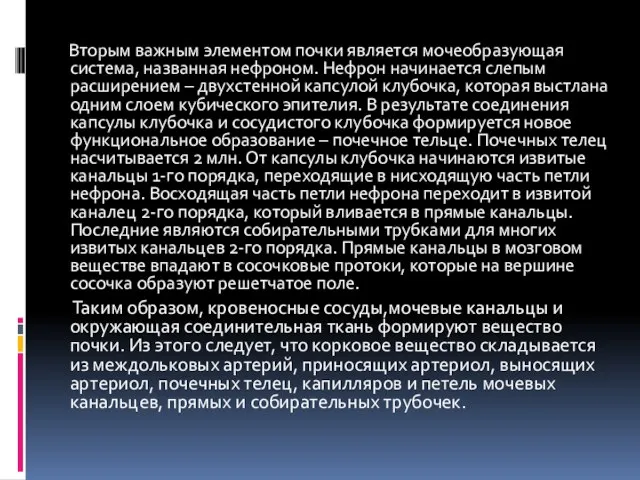 Вторым важным элементом почки является мочеобразующая система, названная нефроном. Нефрон начинается слепым