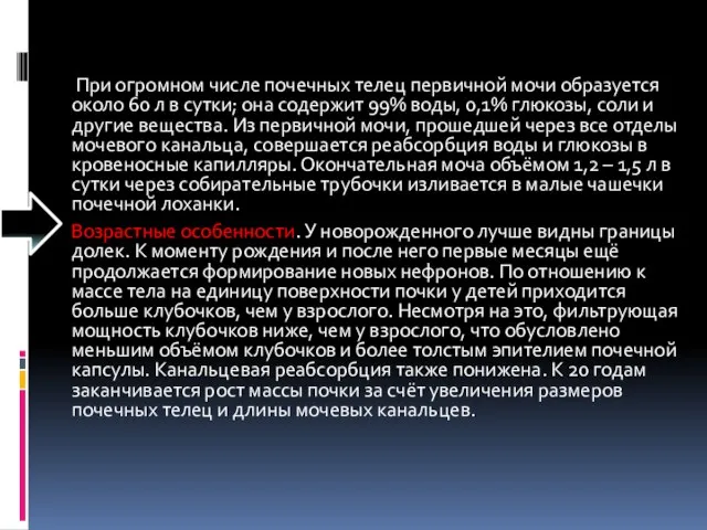 При огромном числе почечных телец первичной мочи образуется около 60 л в