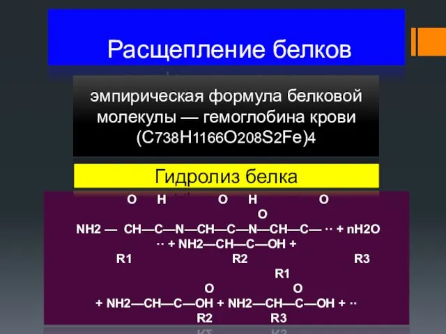 Расщепление белков эмпирическая формула белковой молекулы — гемоглобина крови (C738H1166O208S2Fe)4 О H