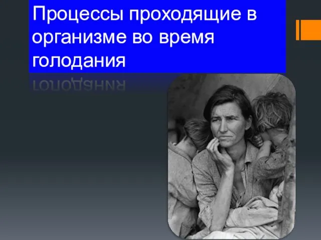 Процессы проходящие в организме во время голодания