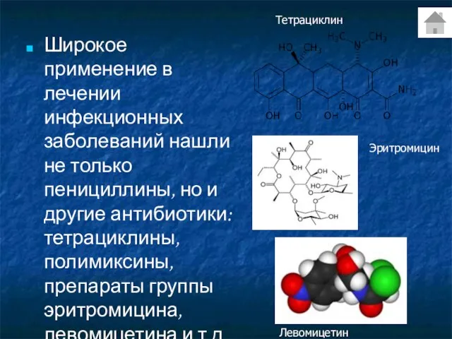 Широкое применение в лечении инфекционных заболеваний нашли не только пенициллины, но и