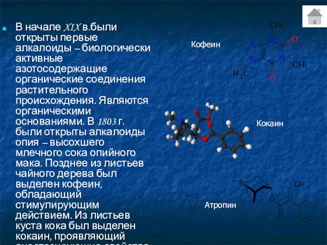 В начале XIX в.были открыты первые алкалоиды – биологически активные азотосодержащие органические