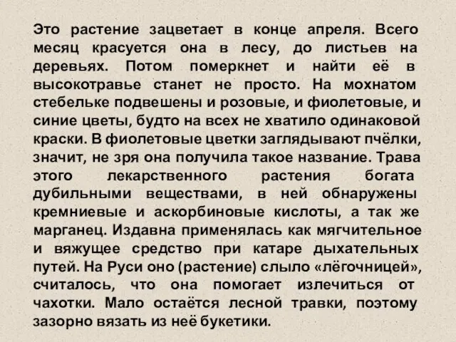 Это растение зацветает в конце апреля. Всего месяц красуется она в лесу,