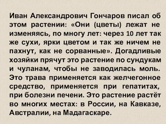 Иван Александрович Гончаров писал об этом растении: «Они (цветы) лежат не изменяясь,