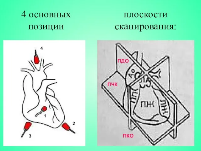 плоскости сканирования: ПДО ПЧК ПКО 4 основных позиции 1 2 3 4