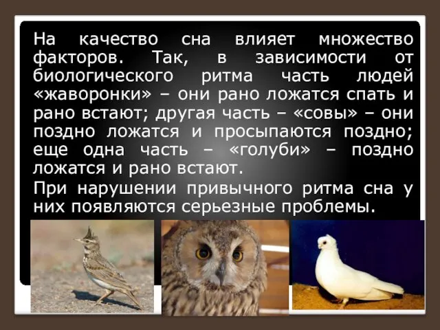 На качество сна влияет множество факторов. Так, в зависимости от биологического ритма