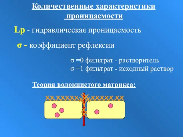 Lp - гидравлическая проницаемость σ - коэффициент рефлексии σ =0 фильтрат -