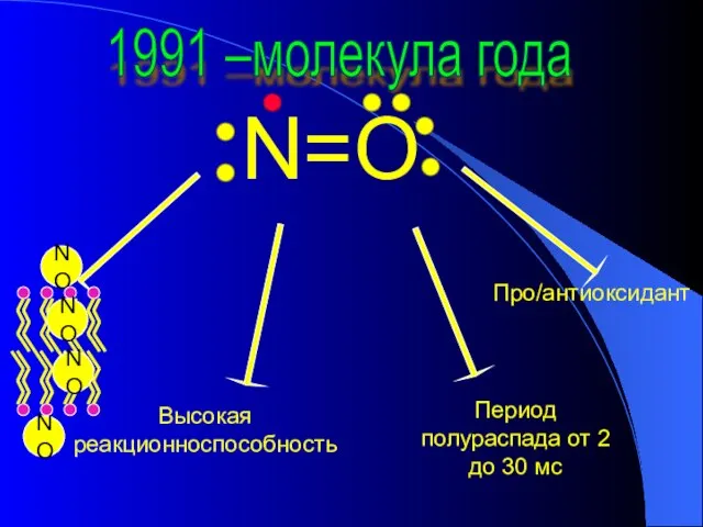 N=O Высокая реакционноспособность Период полураспада от 2 до 30 мс Про/антиоксидант 1991