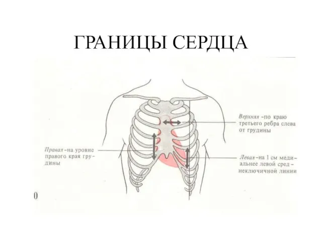 ГРАНИЦЫ СЕРДЦА