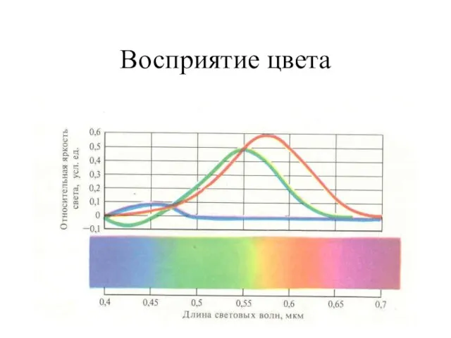 Восприятие цвета