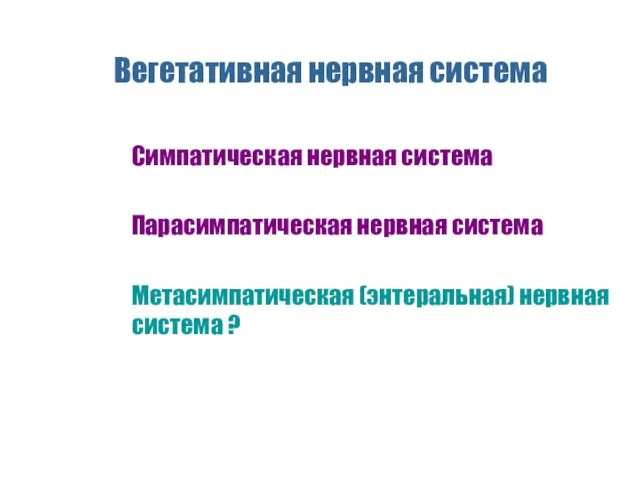 Вегетативная нервная система Симпатическая нервная система Парасимпатическая нервная система Метасимпатическая (энтеральная) нервная система ?