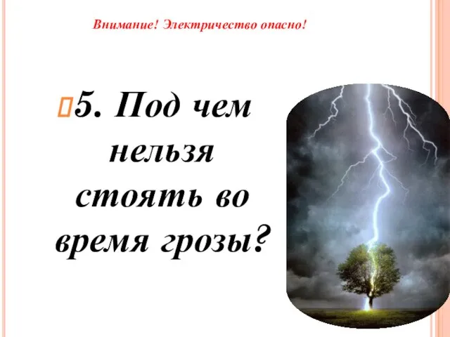 Внимание! Электричество опасно! 5. Под чем нельзя стоять во время грозы?