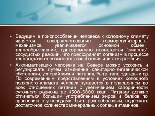 Ведущим в приспособлении человека к холодному климату является совершенствование терморегуляторных механизмов: увеличивается