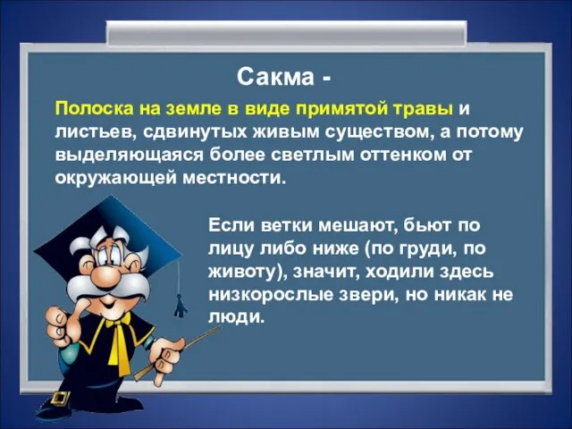 Сакма - Полоска на земле в виде примятой травы и листьев, сдвинутых