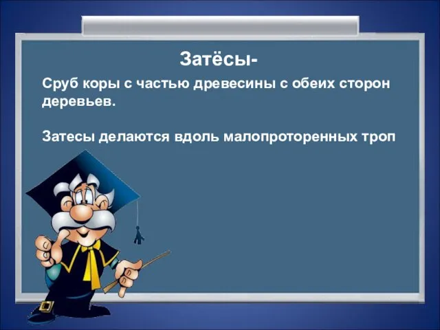 Затёсы- Сруб коры с частью древесины с обеих сторон деревьев. Затесы делаются вдоль малопроторенных троп