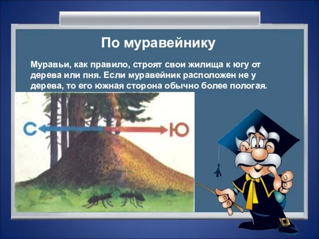 По муравейнику Муравьи, как правило, строят свои жилища к югу от дерева