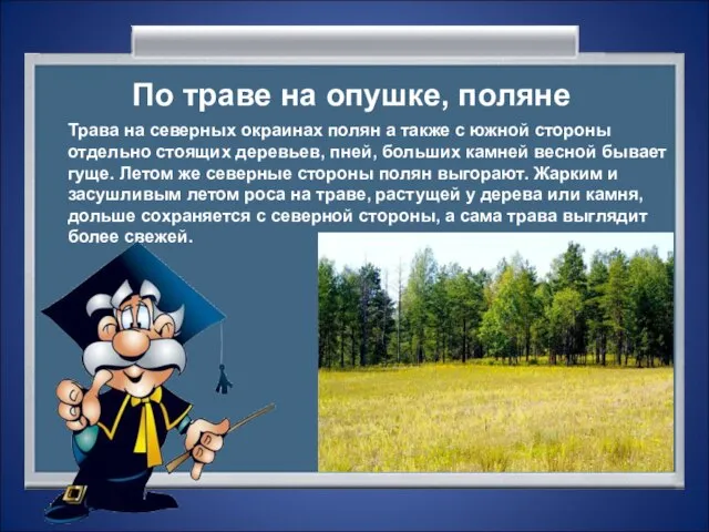 По траве на опушке, поляне Трава на северных окраинах полян а также