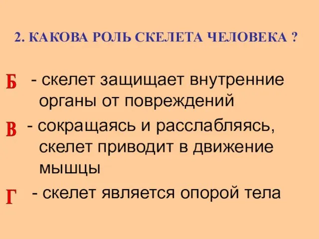 2. КАКОВА РОЛЬ СКЕЛЕТА ЧЕЛОВЕКА ? - скелет защищает внутренние органы от