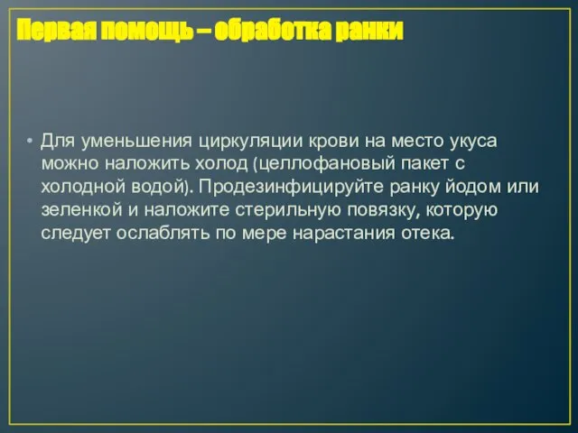 Для уменьшения циркуляции крови на место укуса можно наложить холод (целлофановый пакет