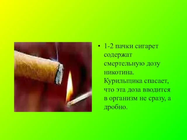 1-2 пачки сигарет содержат смертельную дозу никотина. Курильщика спасает, что эта доза