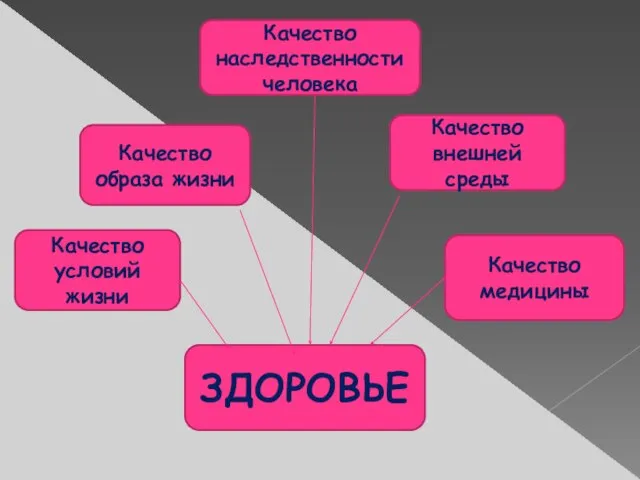 ЗДОРОВЬЕ Качество условий жизни Качество образа жизни Качество наследственности человека Качество внешней среды Качество медицины