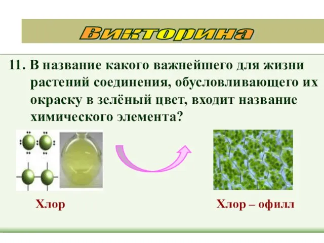 11. В название какого важнейшего для жизни растений соединения, обусловливающего их окраску