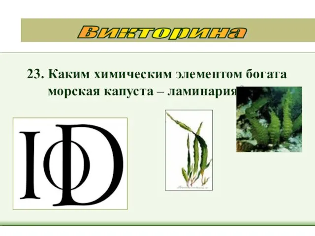 23. Каким химическим элементом богата морская капуста – ламинария? Викторина