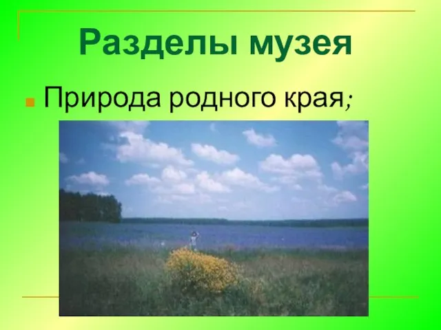 Разделы музея Природа родного края;