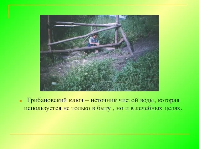 Грибановский ключ – источник чистой воды, которая используется не только в быту