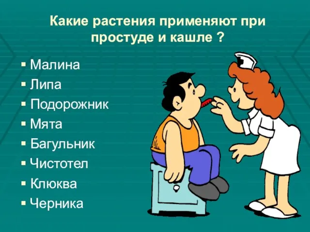 Какие растения применяют при простуде и кашле ? Малина Липа Подорожник Мята Багульник Чистотел Клюква Черника