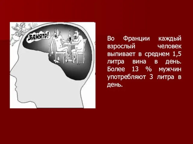 Во Франции каждый взрослый человек выпивает в среднем 1,5 литра вина в