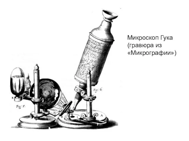 Микроскоп Гука (гравюра из «Микрографии»)