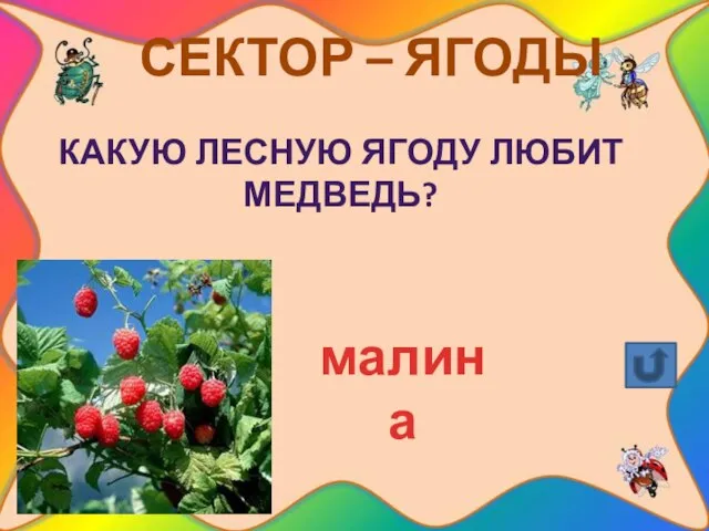 СЕКТОР – ЯГОДЫ Какую лесную ягоду любит медведь? малина