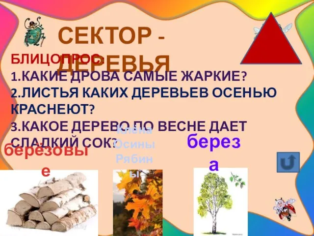 СЕКТОР - ДЕРЕВЬЯ Блицопрос: 1.Какие дрова самые жаркие? 2.Листья каких деревьев осенью