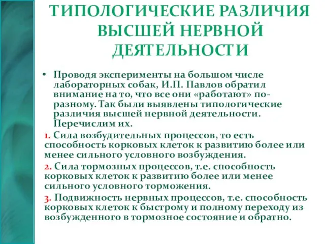 Типологические различия высшей нервной деятельности Проводя эксперименты на большом числе лабораторных собак,