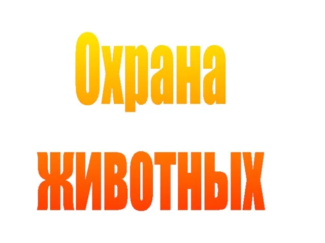 Охрана животных