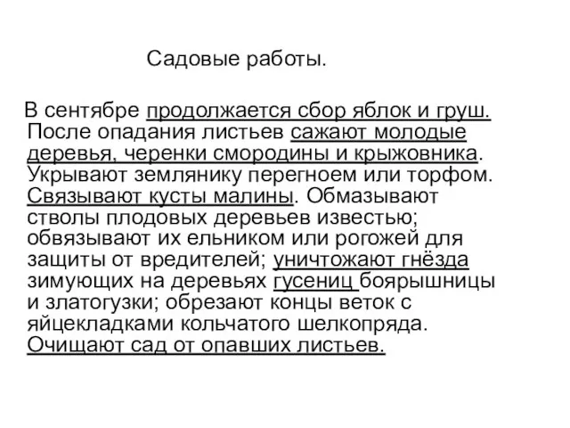 Садовые работы. В сентябре продолжается сбор яблок и груш. После опадания листьев