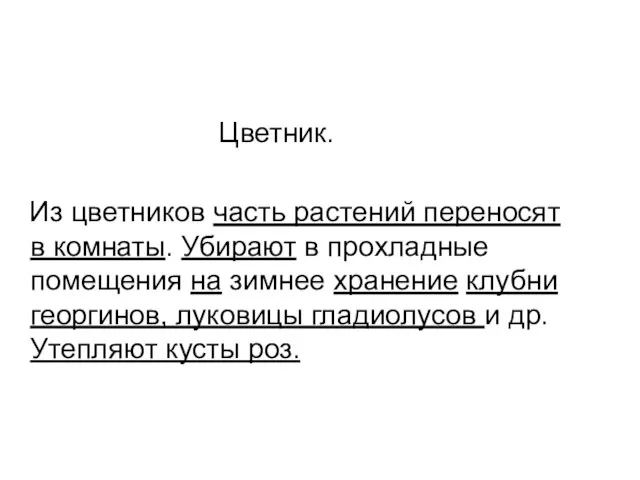 Цветник. Из цветников часть растений переносят в комнаты. Убирают в прохладные помещения