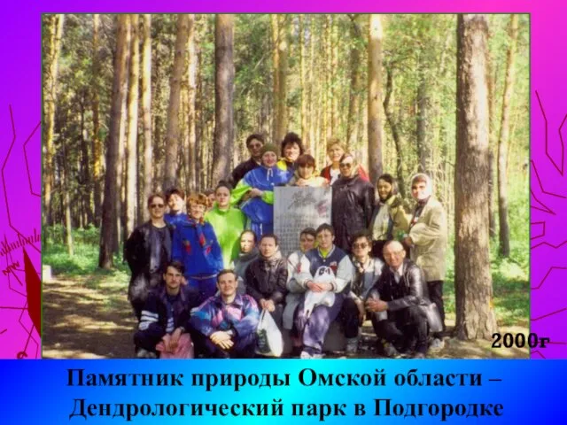 Памятник природы Омской области – Дендрологический парк в Подгородке 2000г
