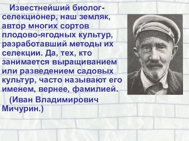 Известнейший биолог-селекционер, наш земляк, автор многих сортов плодово-ягодных культур, разработавший методы их