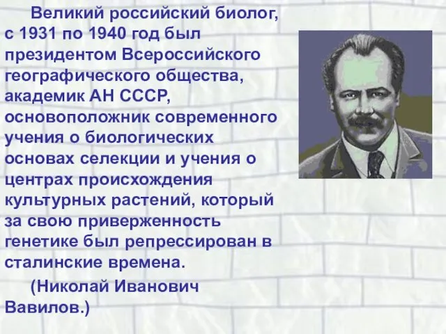 Великий российский биолог, с 1931 по 1940 год был президентом Всероссийского географического