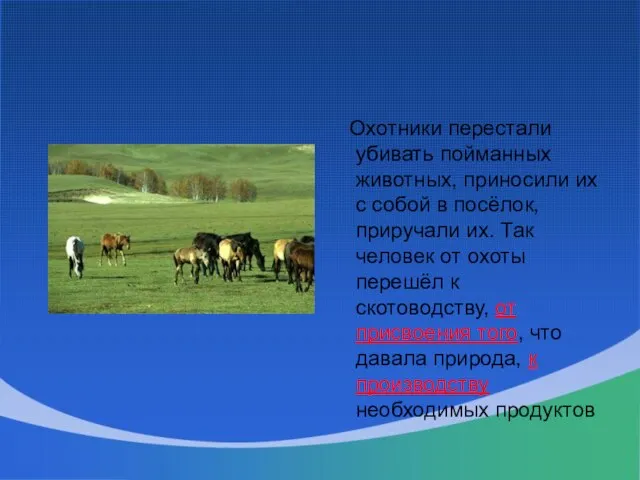 Охотники перестали убивать пойманных животных, приносили их с собой в посёлок, приручали