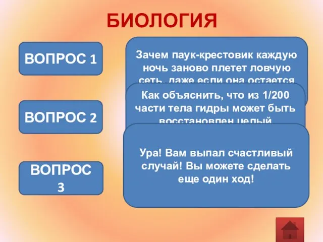 БИОЛОГИЯ Зачем паук-крестовик каждую ночь заново плетет ловчую сеть, даже если она