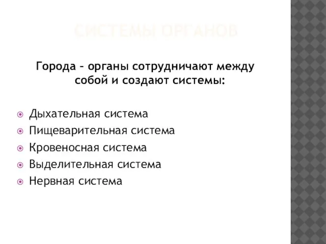 Системы органов Города – органы сотрудничают между собой и создают системы: Дыхательная